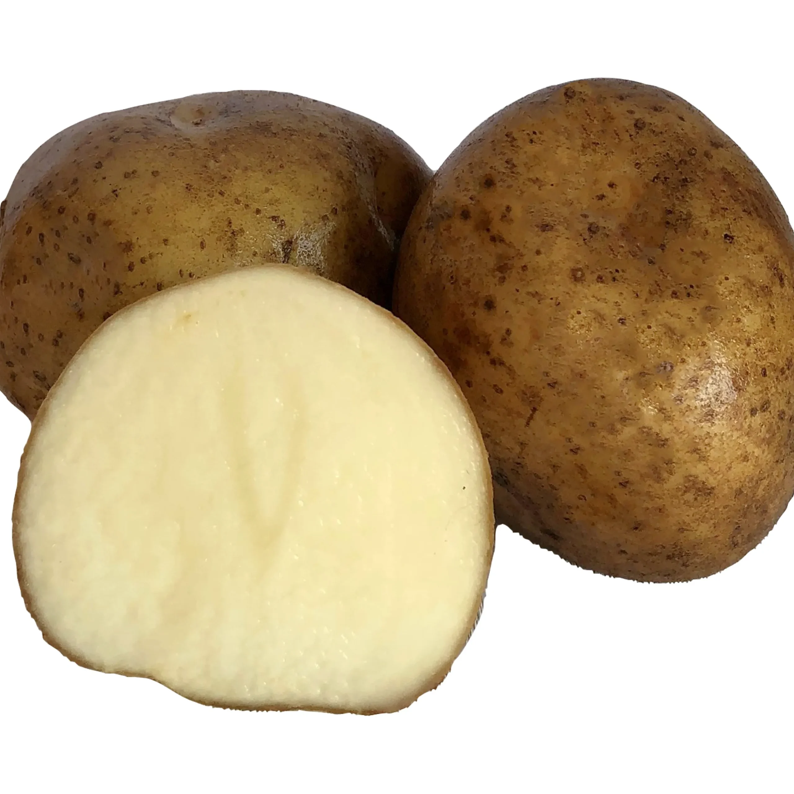Sättpotatis LPM Rocket Vår 15kg