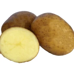 Sättpotatis LPM Solist Vår 3kg