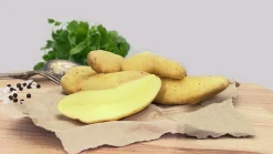 Sättpotatis LPM Sparris Asperges Höst 500g