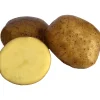 Sättpotatis LPM Swift Vår 3kg