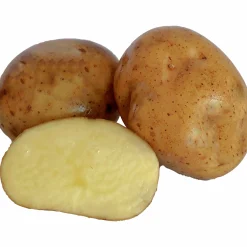 Sättpotatis LPM Timo Vår 2kg