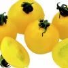 Tomatplantor Sortmix