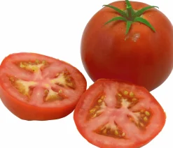 Tomatplantor Sortmix