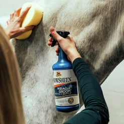 Torrschampo Absorbine Miracle groom 950ml