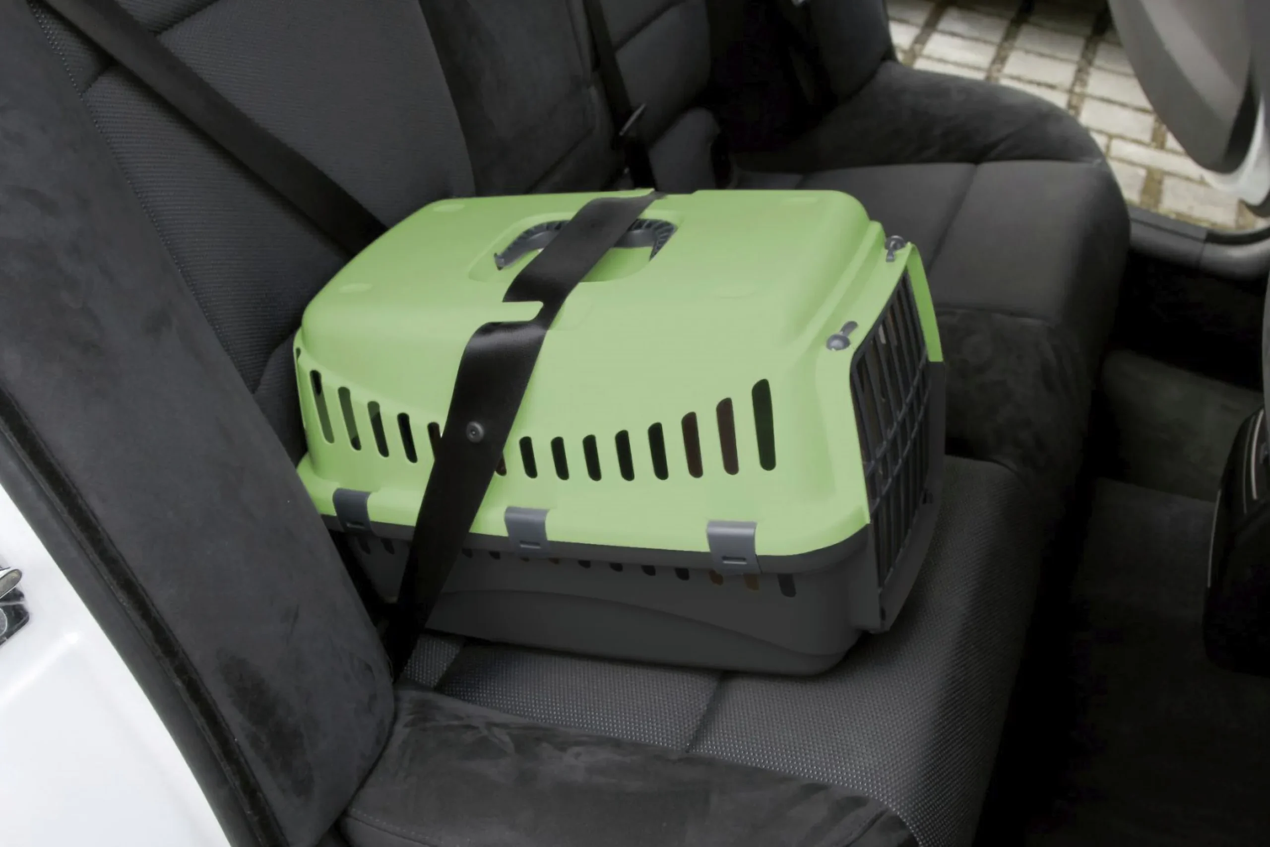Transportbur Kerbl Expedition Grön/Grå S 45x30x30cm