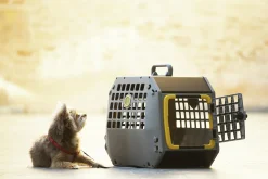 Transportbur MIMsafe Care2 Grå L