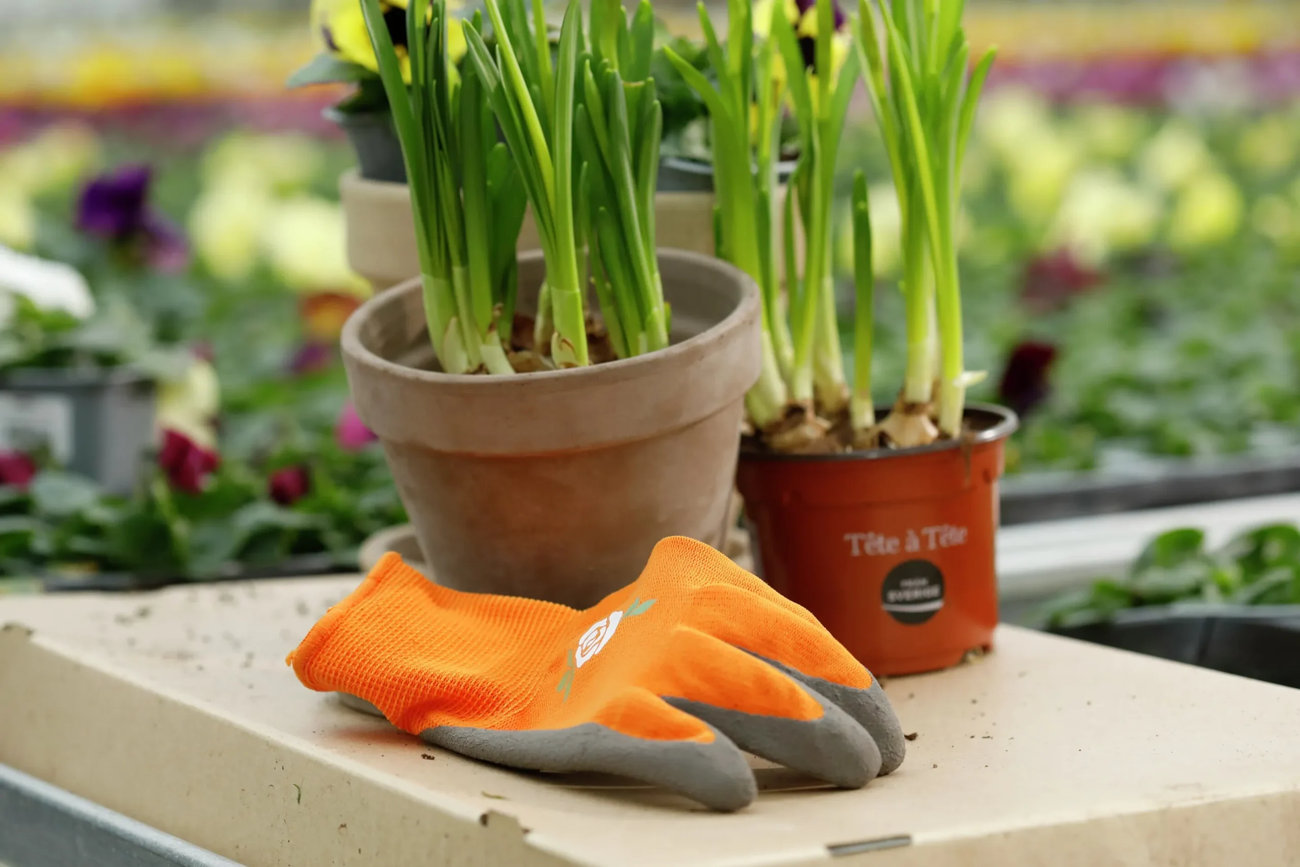 Trädgårdshandskar Granberg Latexbeläggning Orange