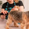 Trimmer Wahl Fileda Sladdlös