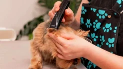 Trimmer Wahl Fileda Sladdlös