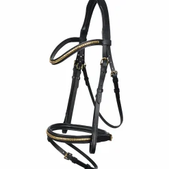 Träns Hansbo Sport Clincher Aachen