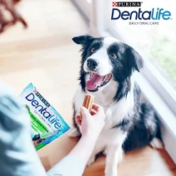 Tuggpinnar Purina DentaLife M 24-p