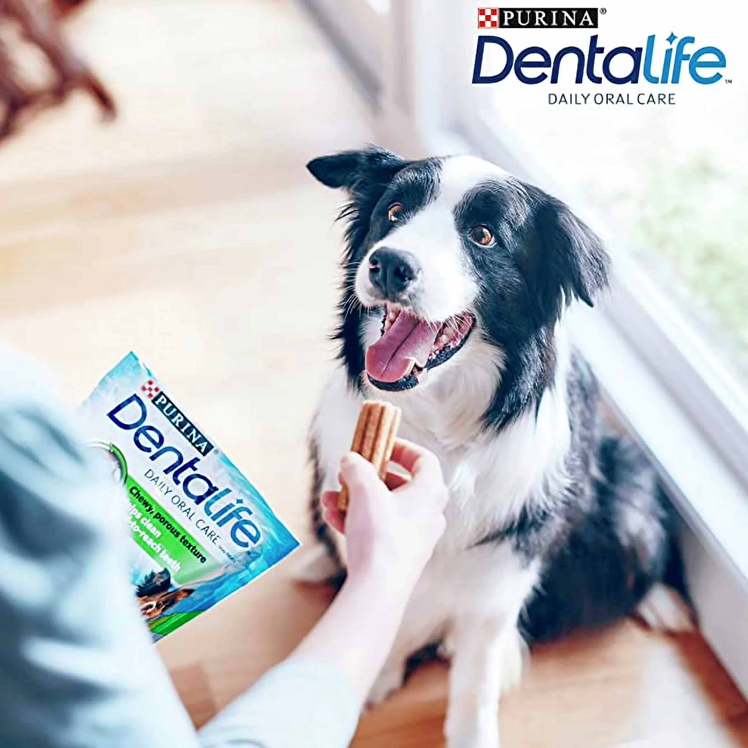 Tuggpinnar Purina DentaLife M 24-p