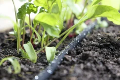 Utbyggnadsset till EcoAqua DripSystem