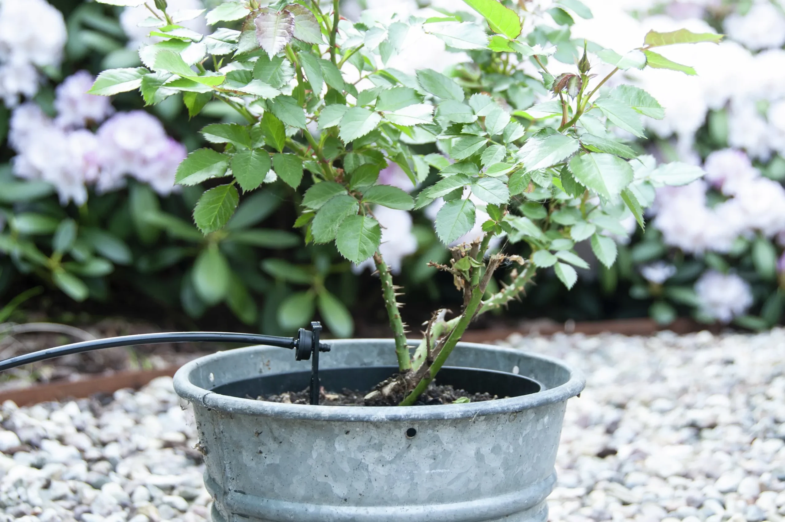 Utbyggnadsset till EcoAqua DripSystem