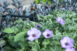 Utbyggnadsset till EcoAqua DripSystem
