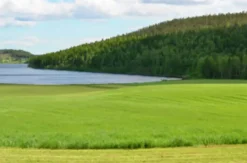 Vallfrö Lantmännen Lupus 11 bete nöt och häst 15kg