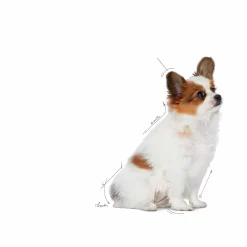 Valpfoder Royal Canin X-Small Puppy 1,5kg