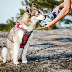 Vattenflaska Hund Kurgo Blå 750ml