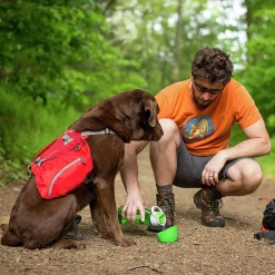 Vattenflaska Hund Kurgo Grön 750ml