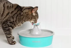 Vattenfontän Petsafe Drinkwell Fjäril Plast Turkos/Grå 1,5L