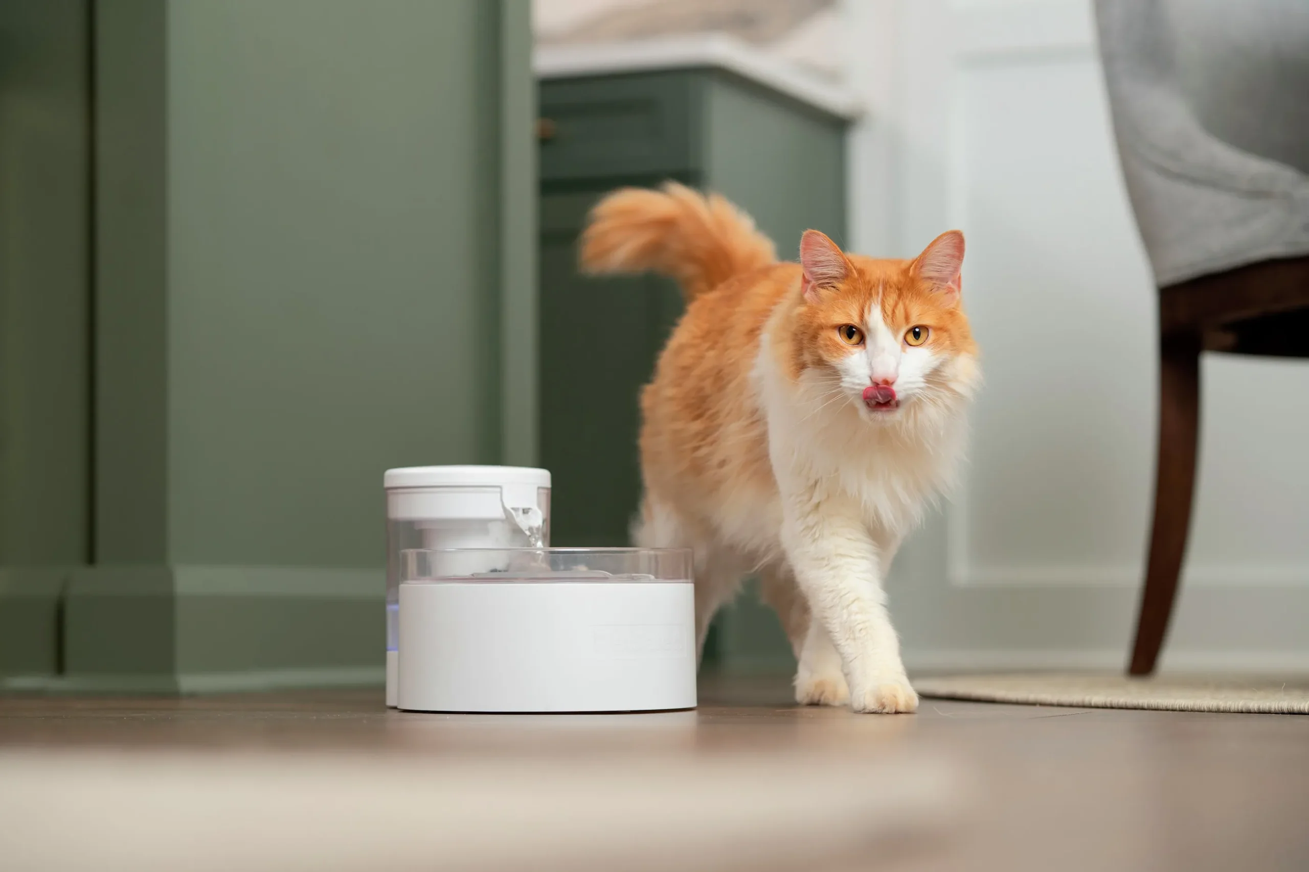 Vattenfontän Petsafe Outlast Pumpfri 1,7L