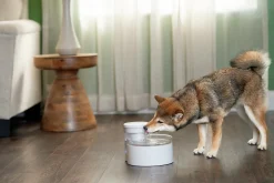 Vattenfontän Petsafe Outlast Pumpfri 1,7L