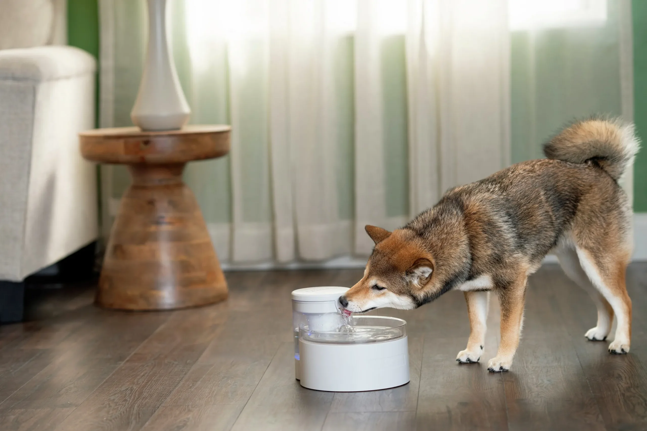 Vattenfontän Petsafe Outlast Pumpfri 1,7L