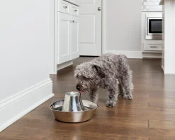 Vattenfontän Petsafe Seaside Rostfri 1,7L