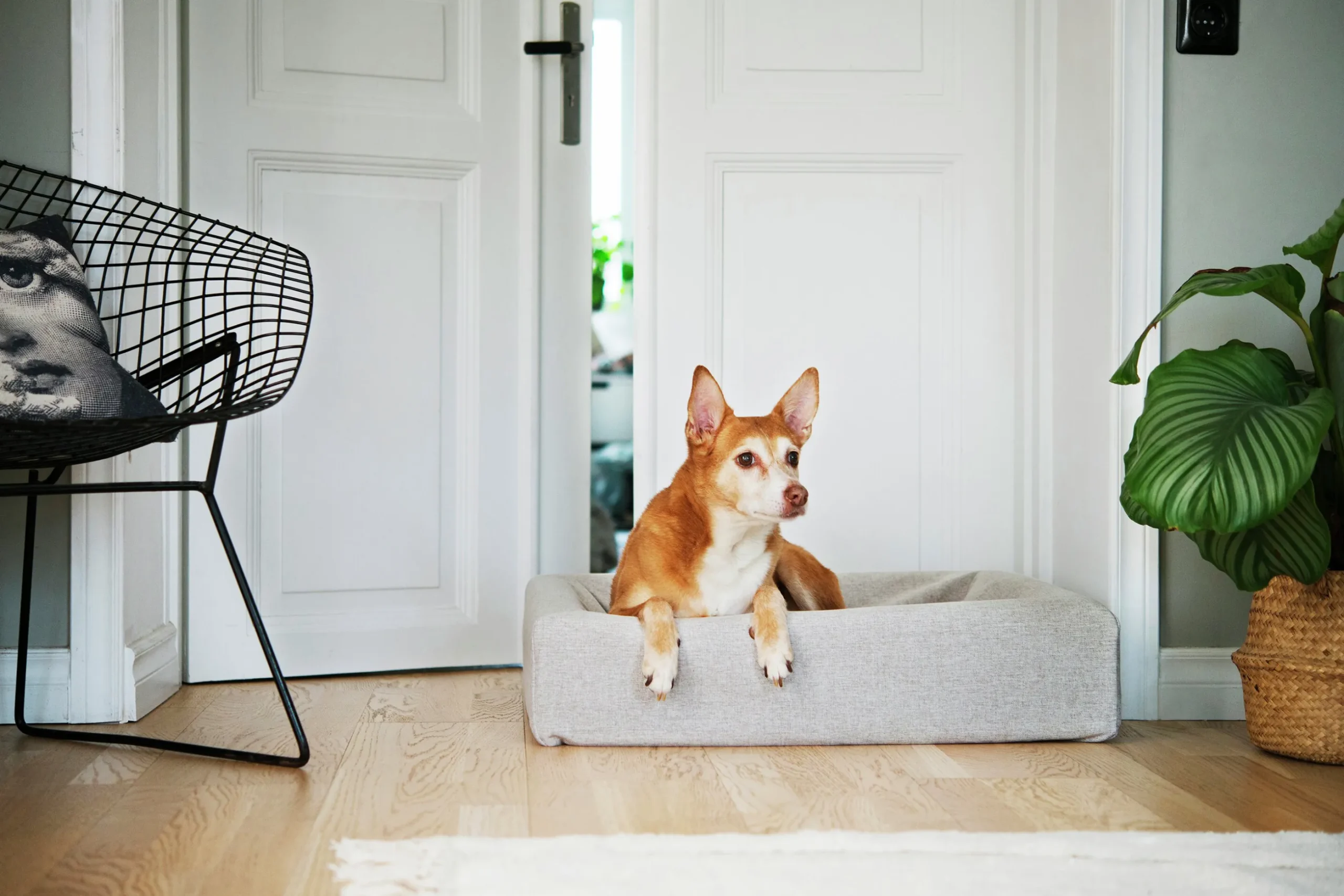Överdrag Bia Bed Skanör Beige