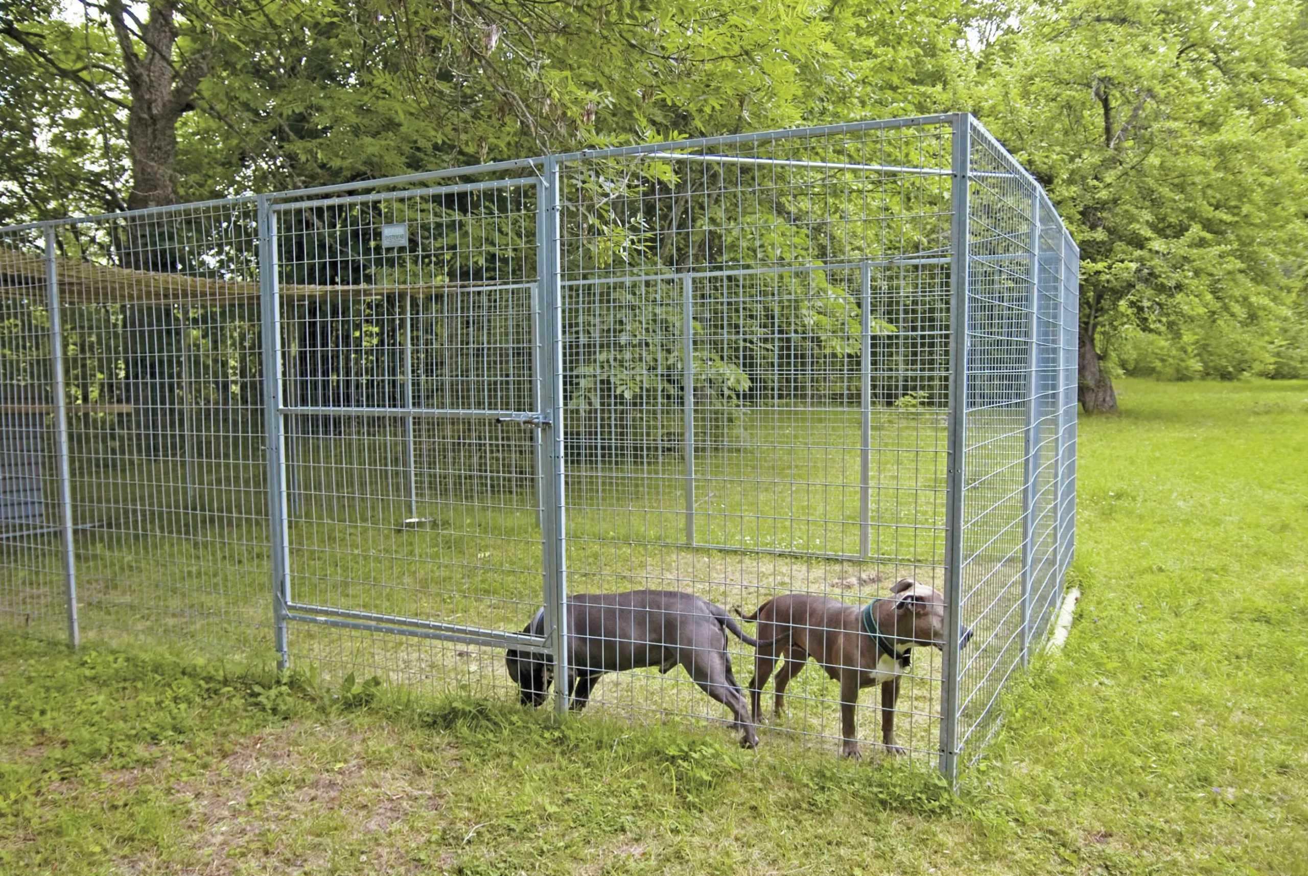 Väggsektion Halsäng Stängsel till hundgård 120x180cm
