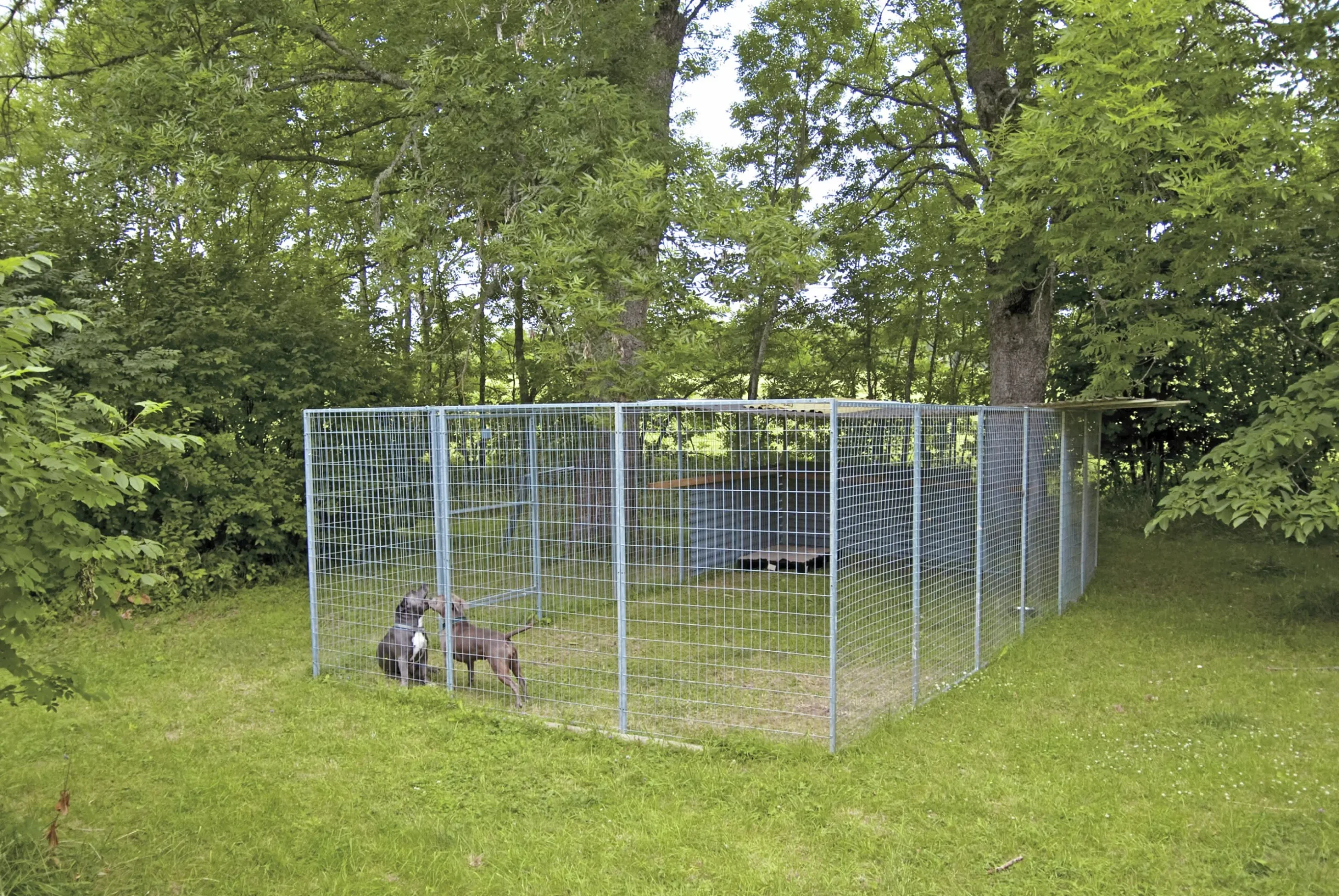 Väggsektion Halsäng Stängsel till hundgård 120x180cm