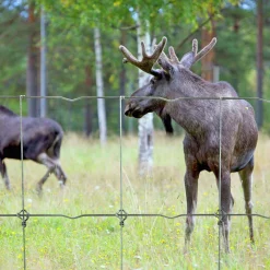 Viltstängsel Häggroth stängsel med S-lock Metall 208cmx50m