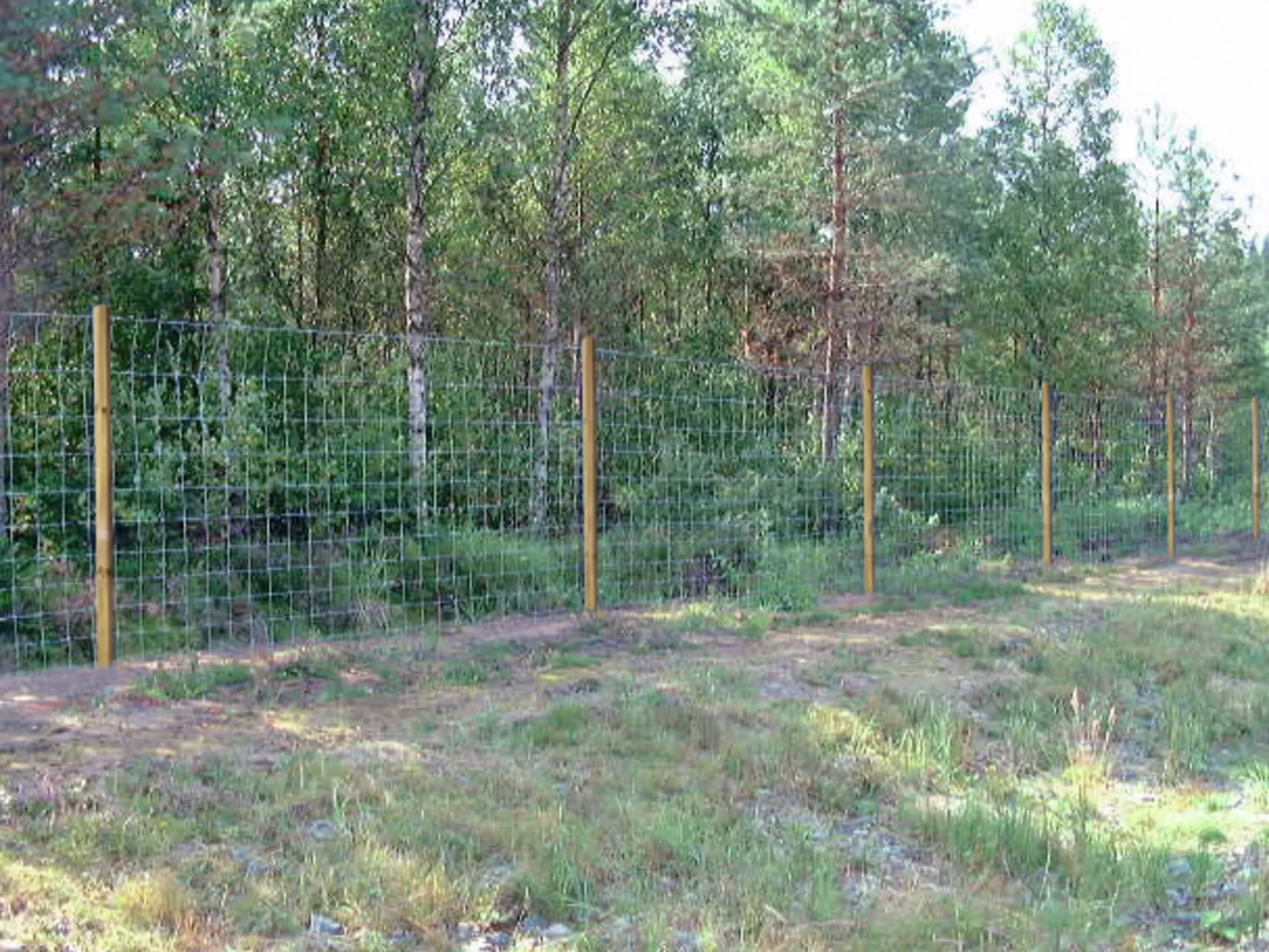 Viltstängsel Häggroth stängsel med S-lock Metall 208cmx50m
