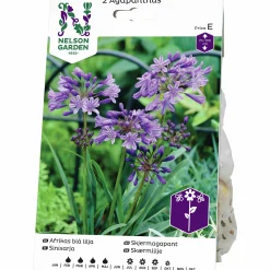 Vårlök Nelson Garden Afrikas Blå Lilja Agapanthus