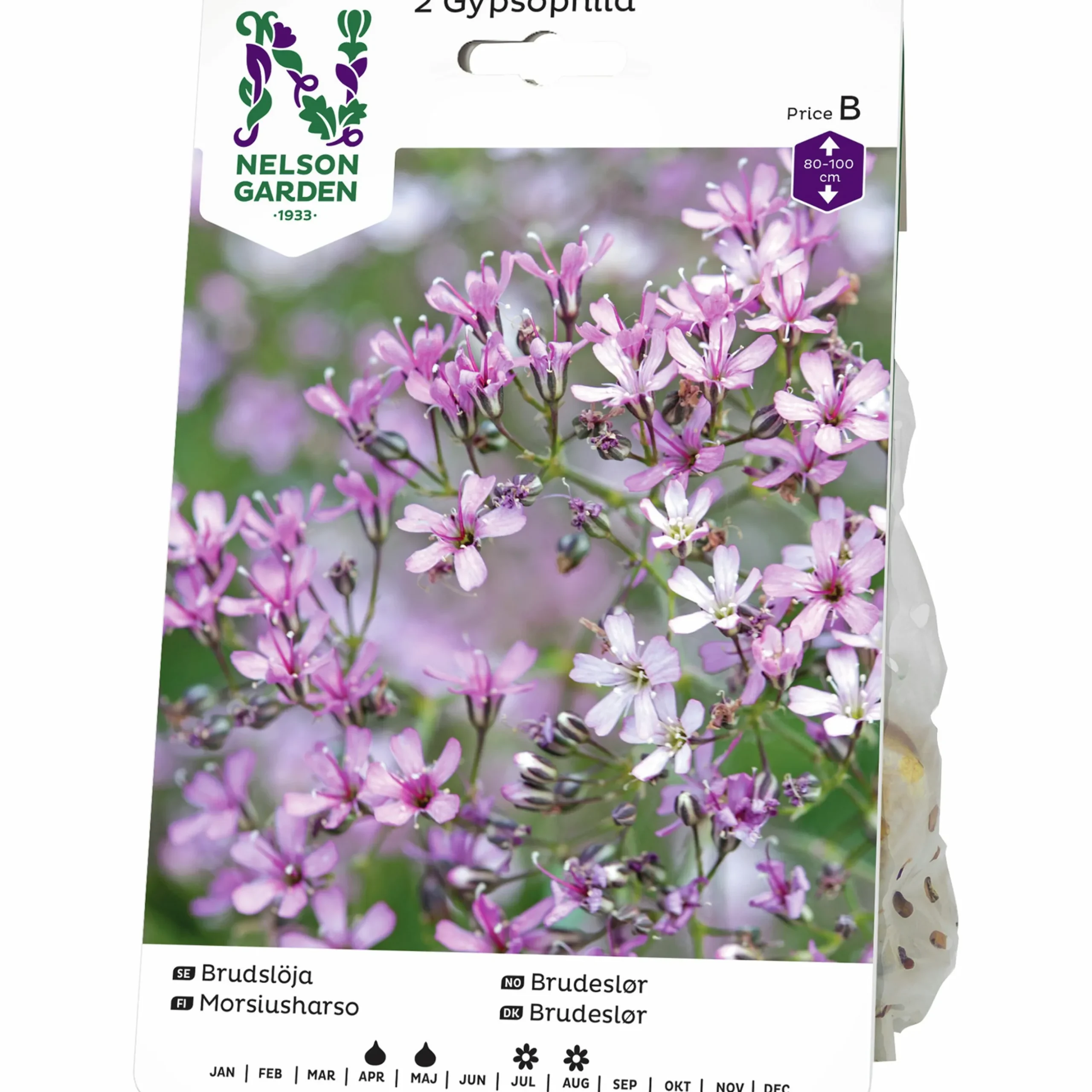 Vårlök Nelson Garden Brudslöja Gypsophila paniculata Lila