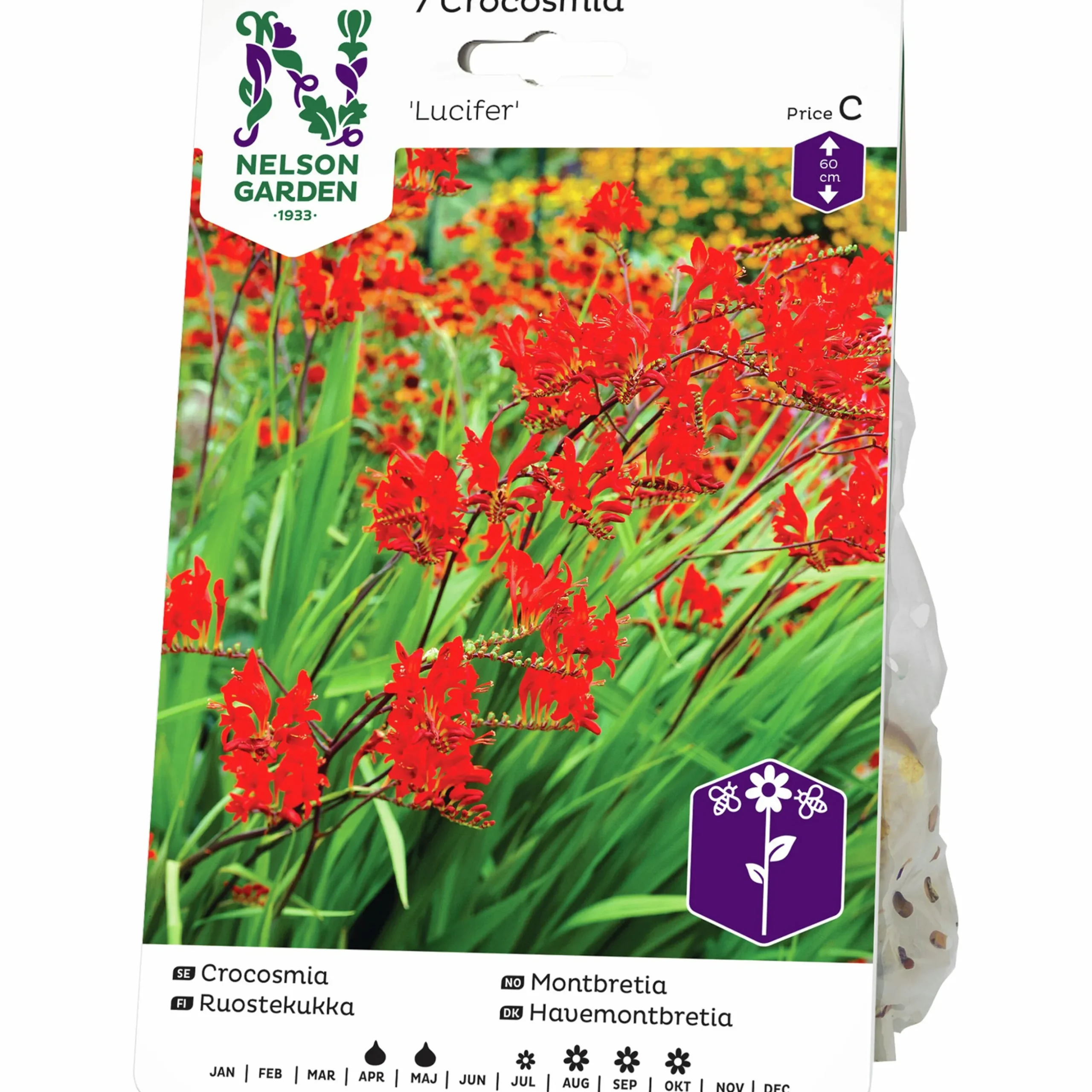 Vårlök Nelson Garden Crocosmia Lucifer Rödorange