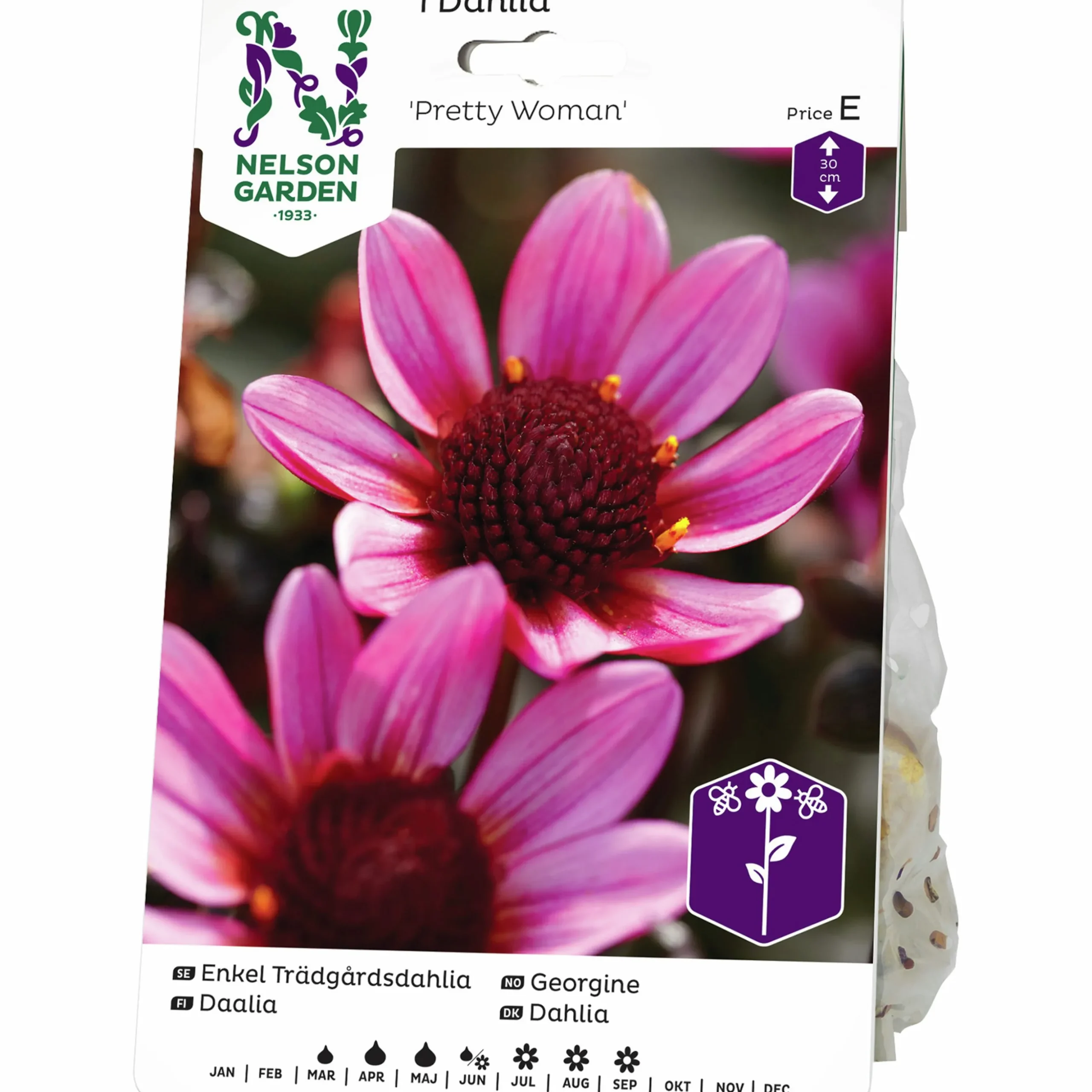 Vårlök Nelson Garden Dahlia Enkel Låg Pretty Woman Lila