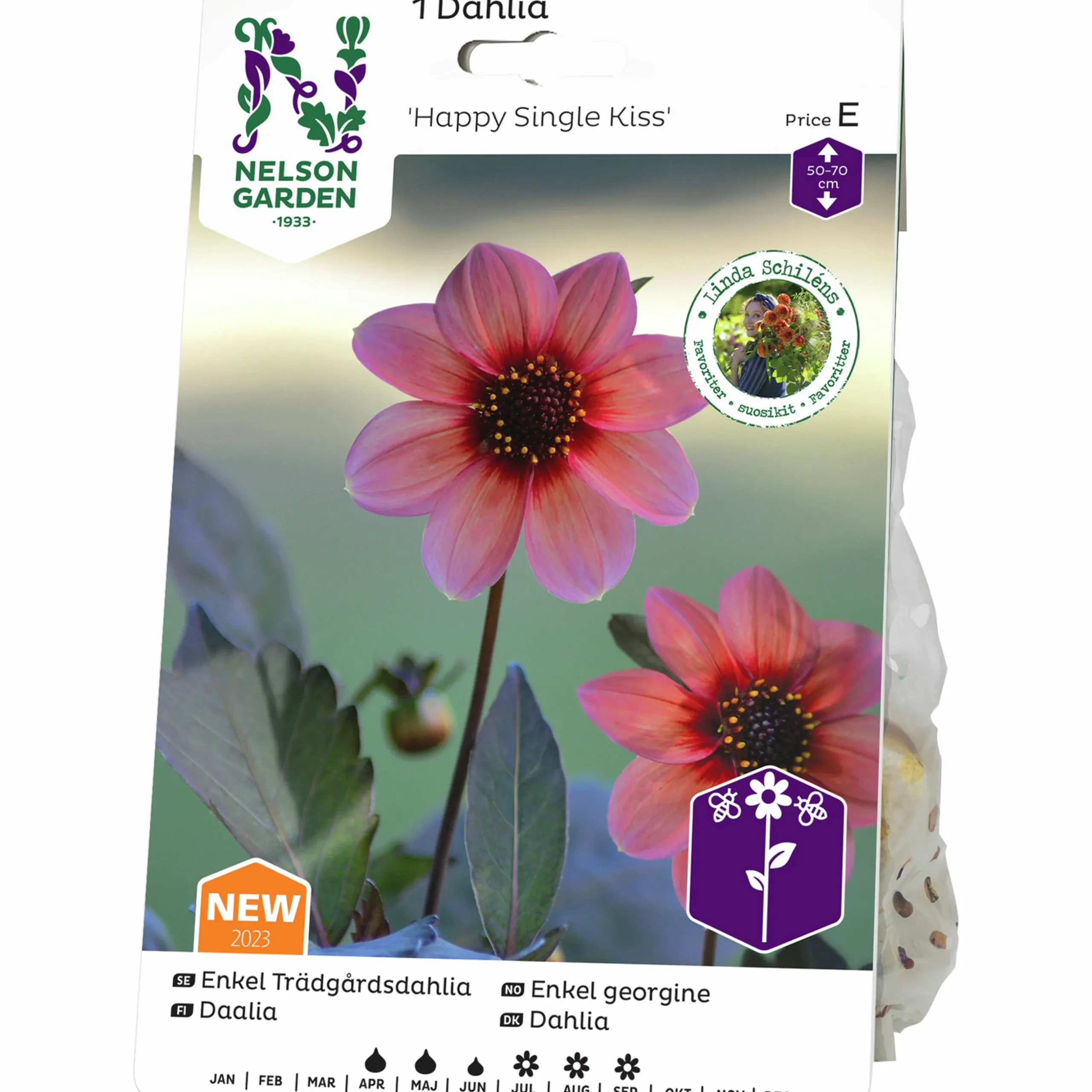 Vårlök Nelson Garden Dahlia Enkel Hög Happy Single Kiss Lax