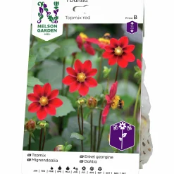 Vårlök Nelson Garden Dahlia Enkel Låg Topmix Röd