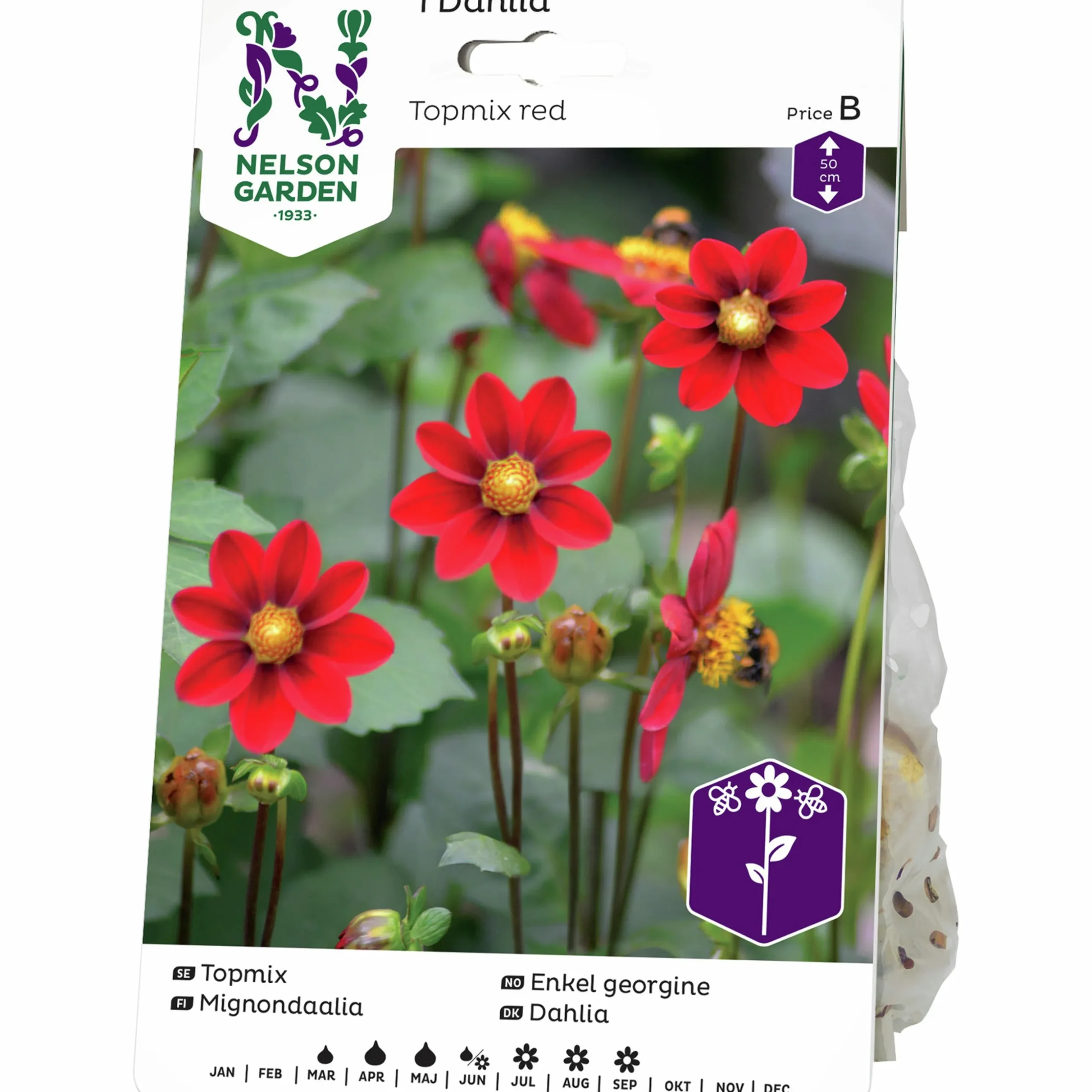 Vårlök Nelson Garden Dahlia Enkel Låg Topmix Röd