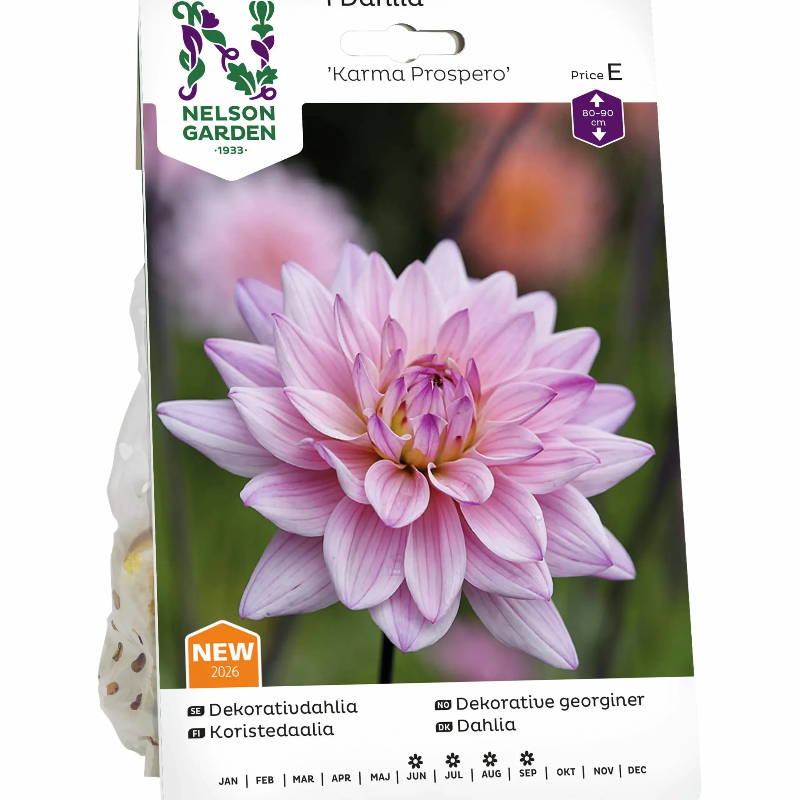 Vårlök Nelson Garden Dekorativdahlia 'Karma Prospero' Låg