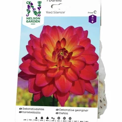 Vårlök Nelson Garden Dekorativdahlia Röd Red Silence Röd