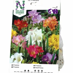 Vårlök Nelson Garden Freesia Enkel Blandade färger
