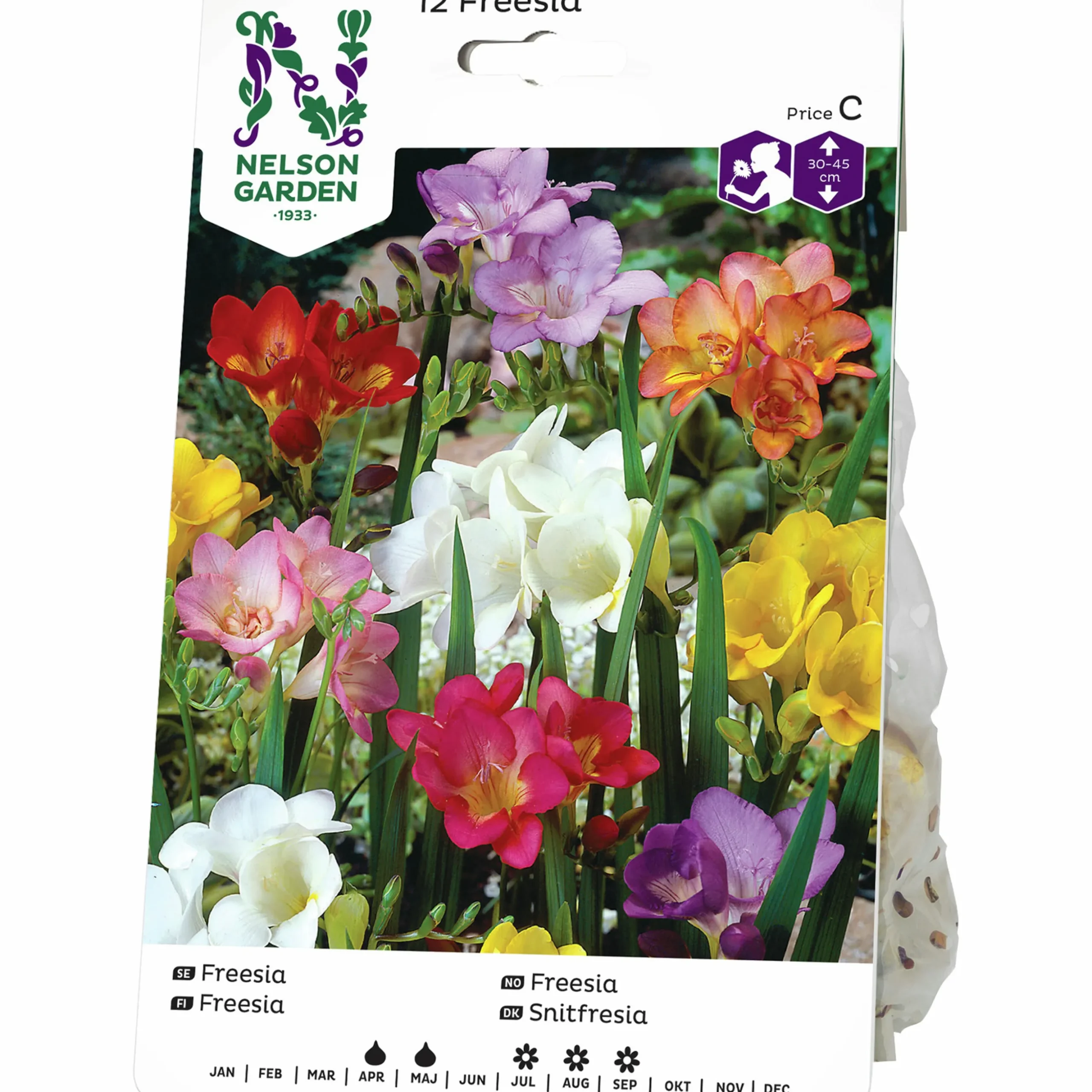 Vårlök Nelson Garden Freesia Enkel Blandade färger