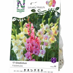 Vårlök Nelson Garden Gladiolus Lovely Match Fiddekulla Mix