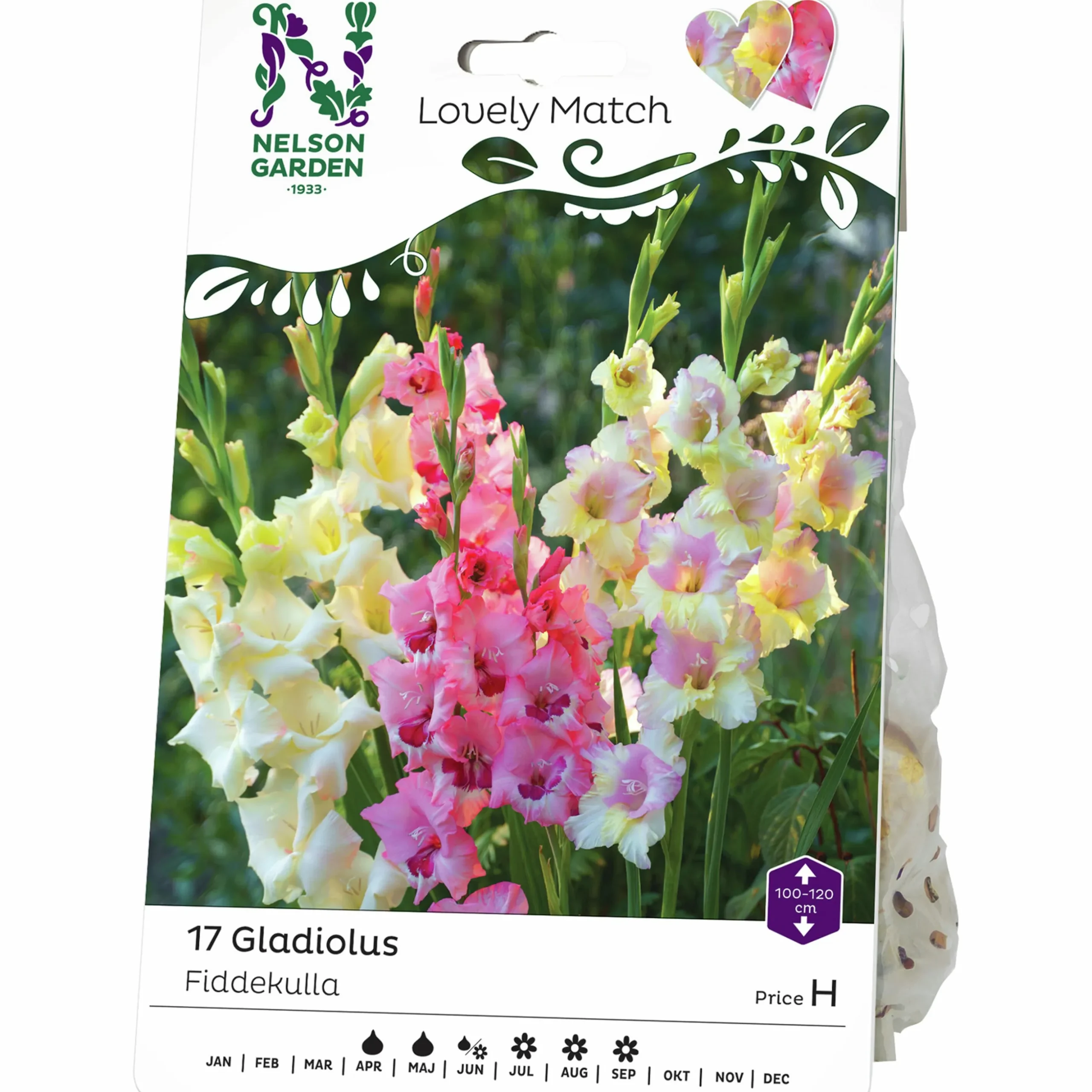Vårlök Nelson Garden Gladiolus Lovely Match Fiddekulla Mix