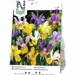 Vårlök Nelson Garden Iris Holländsk Blandade färger