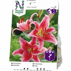 Vårlök Nelson Garden Orientalisk lilja Stargazer Rosa