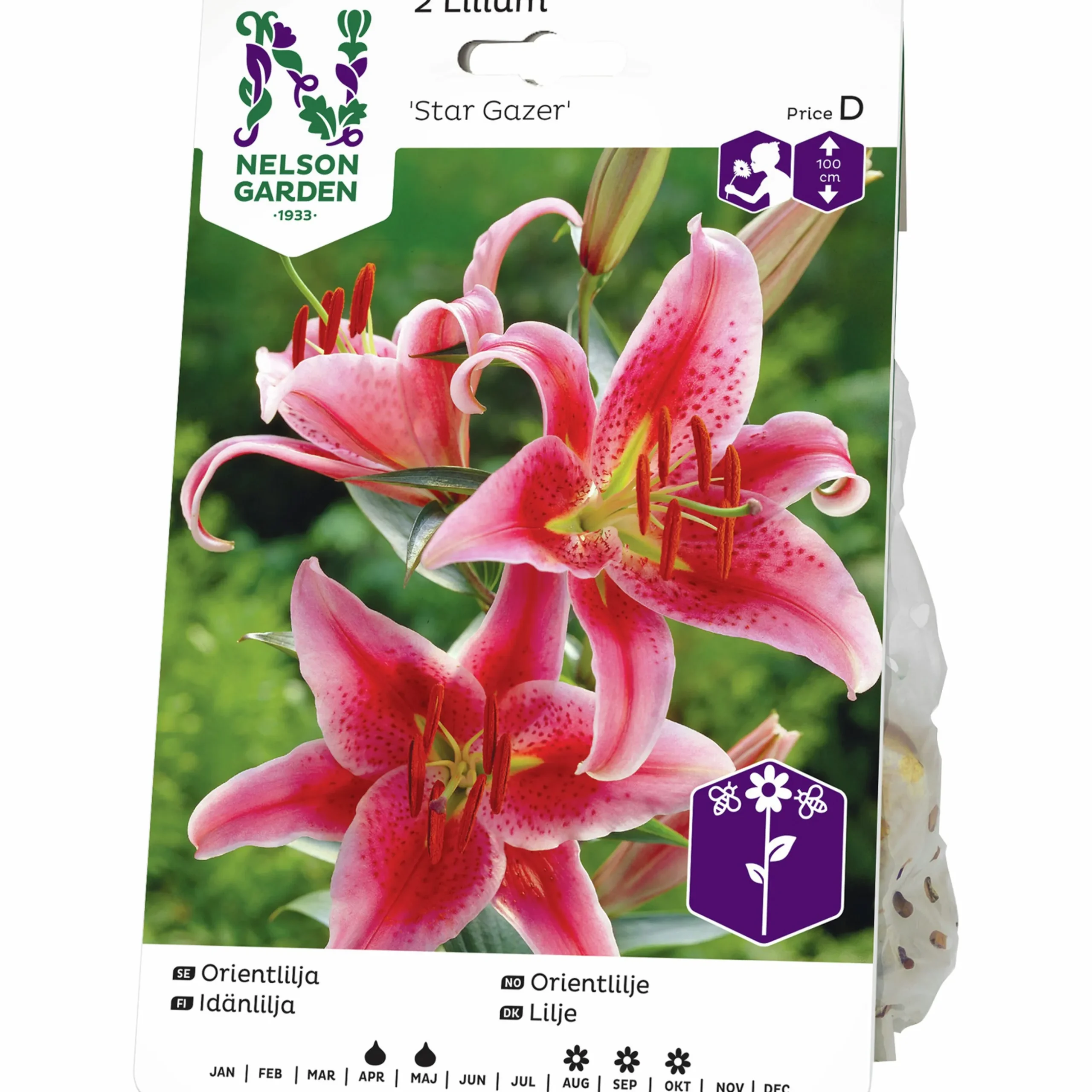 Vårlök Nelson Garden Orientalisk lilja Stargazer Rosa