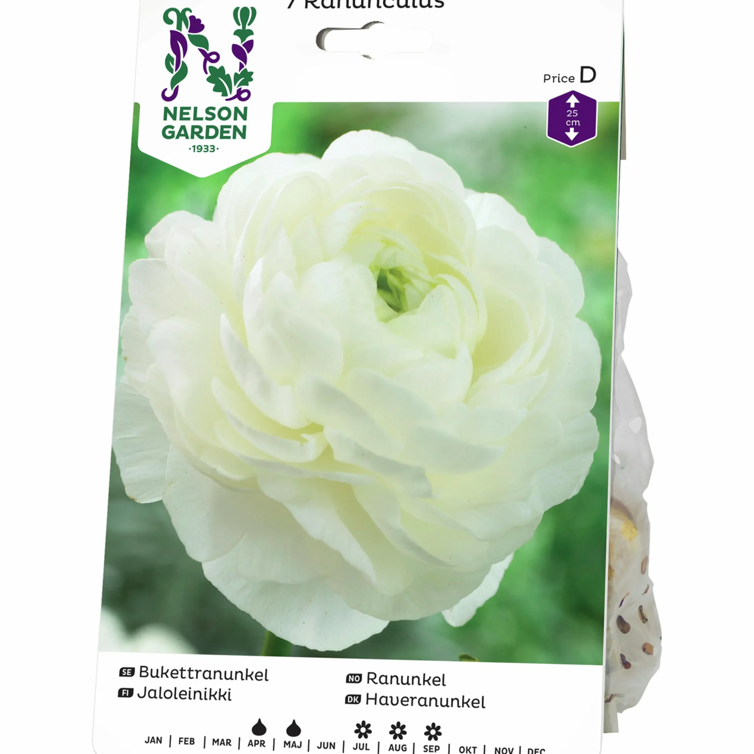 Vårlök Nelson Garden Ranunkel Vit
